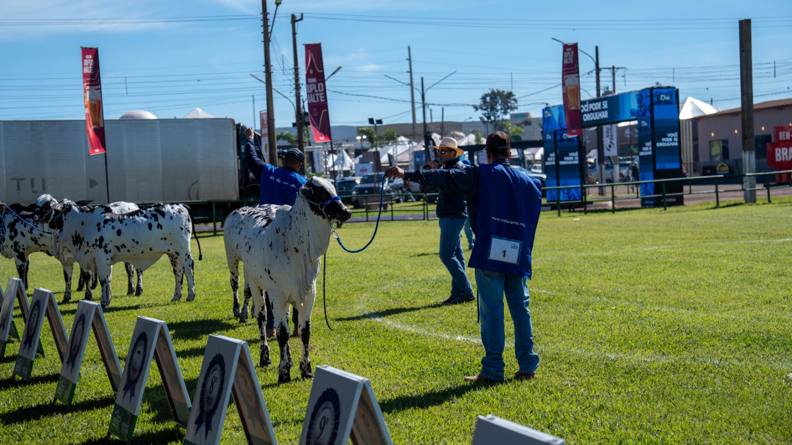 Uma das únicas no país, 60ª Expoagro é “Exposição Ouro” do ranking nacional Nelore Pelagens - Expoagro Dourados MS